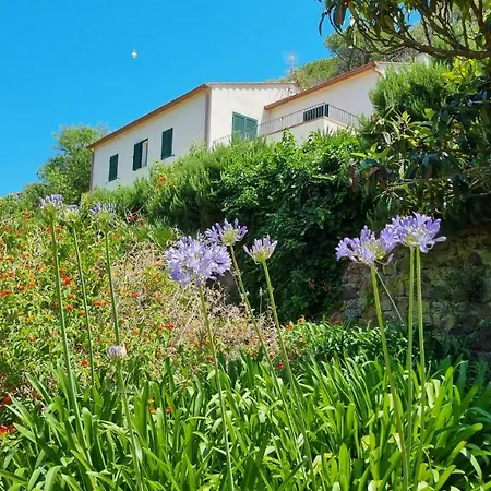 ヴィラ Podere I Cavalieri Sant'Anna